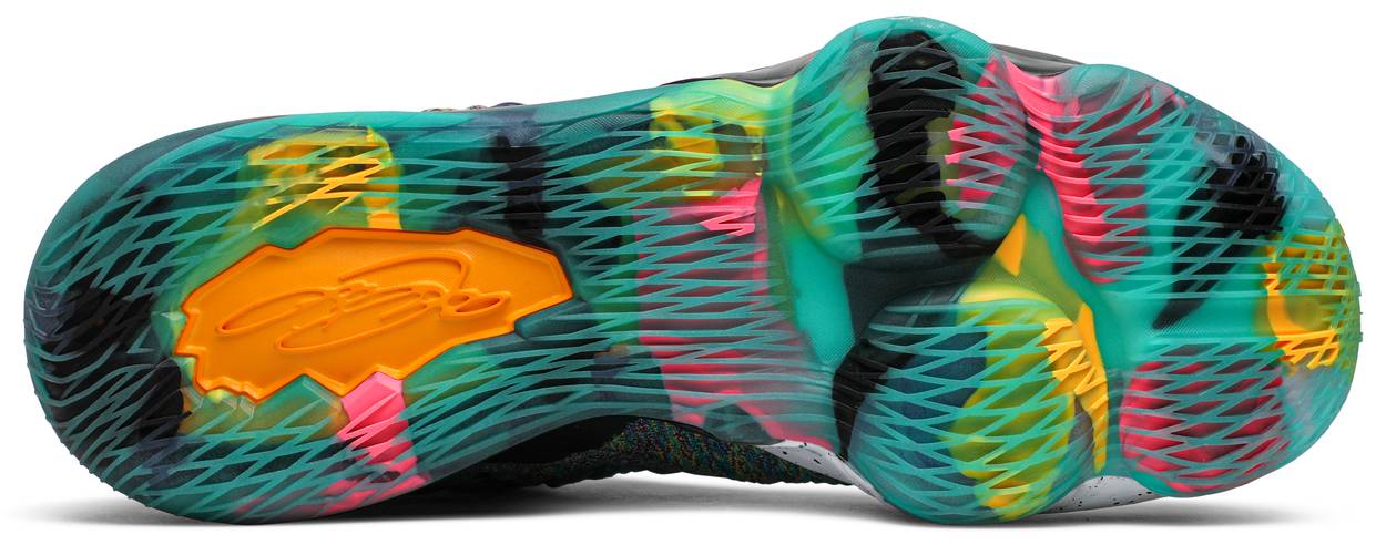 LeBron 17 'I Promise'
