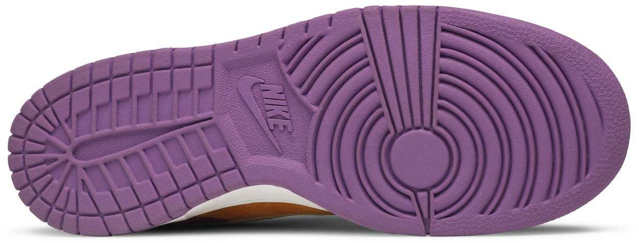 Dunk Low Pro B 'Viotech'